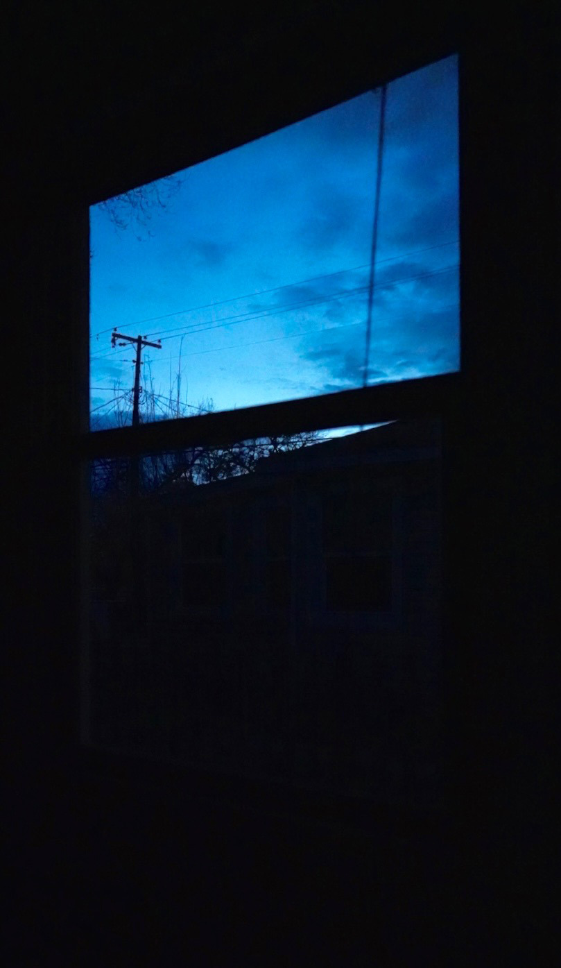 Dusky