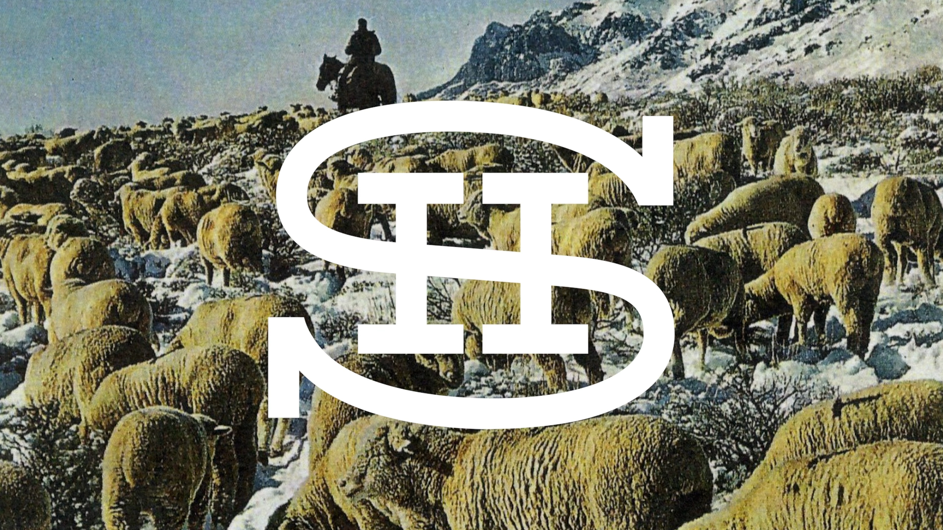 SHR Logo